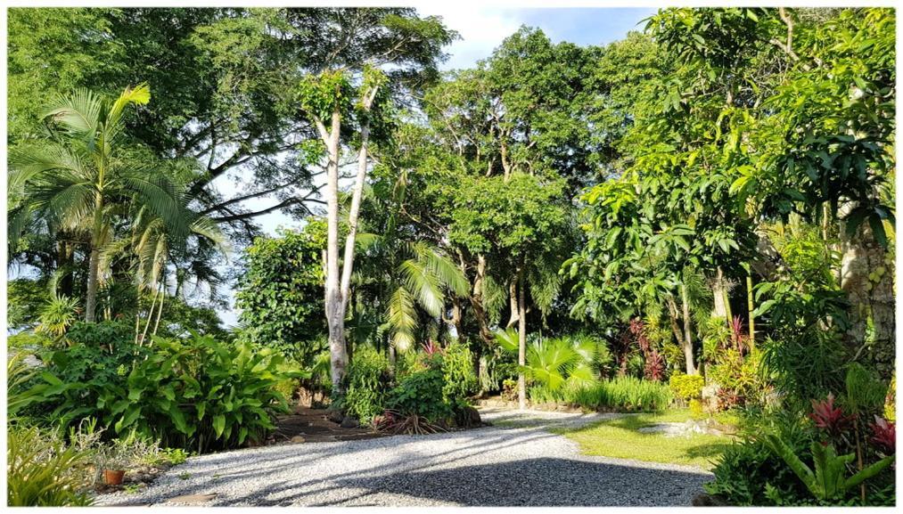 Baan Sakuna Hotel Chiang Khong Zewnętrze zdjęcie